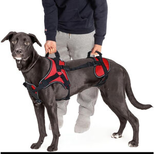 Doggie Stylz Multi Functional Full Body Lifting Dog Harness Vest Red Black sizeS